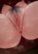 37220912-0.jpg