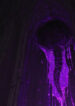 37323252-0.jpg